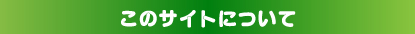このサイトについて
