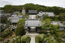妙満寺全景