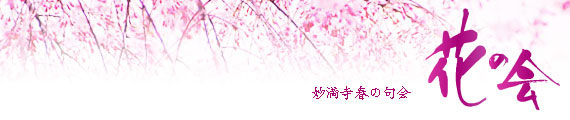 妙満寺2009年春の句会　花の会