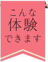 こんな体験できます