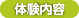体験内容