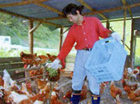 宮本自然農園