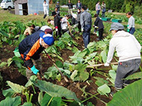 青の里地球まるごと会議